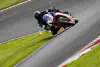 Advanced Group Multicolour Bikes